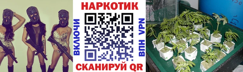 Магазины продажи наркотиков Гаджиево СК Канабис COCAIN Героин ГАШИШ Меф