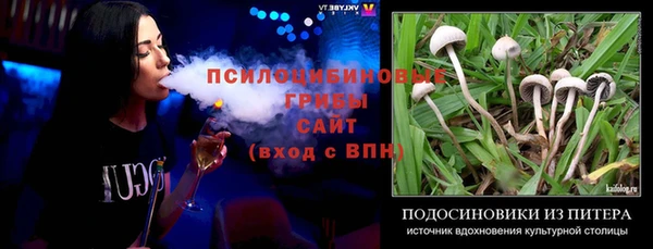 прущие крисы Михайловск
