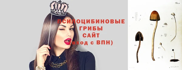 СК Надым