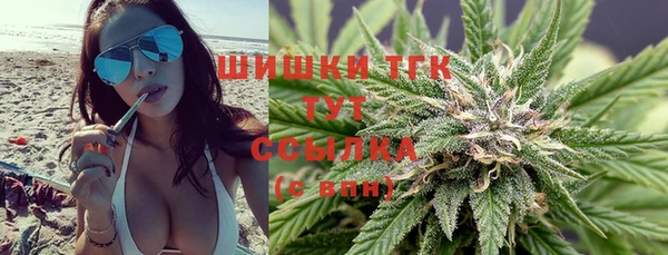 СК Надым