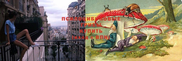 СК Надым